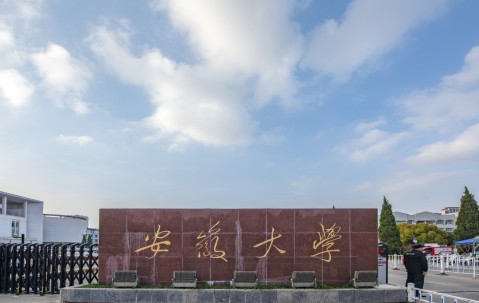 安徽大学2024年录取分数线