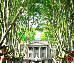 东南大学是211大学还是985大学?