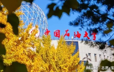 中国石油大学(中国石油大学有几个校区)