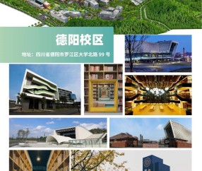 西南财经大学在哪个城市