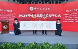 南京农业大学毕业证什么颜色