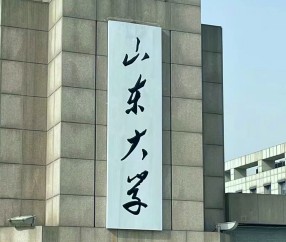 山东大学排名最新排名表