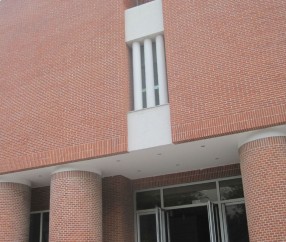 北京林业大学文凭(北京林业大学本科毕业要求)