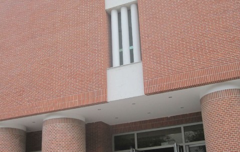 北京林业大学文凭(北京林业大学本科毕业要求)
