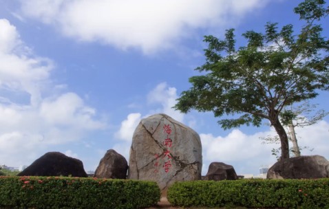 海南大学保研率