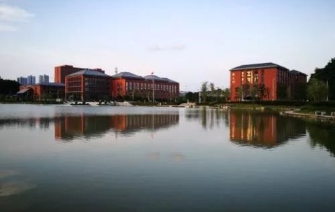 大学毕业发什么证书
