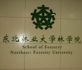 东北林业大学毕业证补办