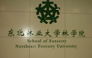 东北林业大学毕业证补办