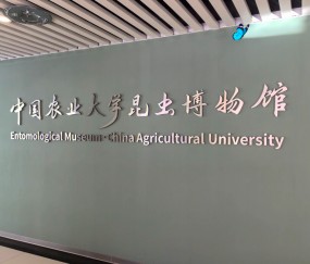 中国农业大学专业