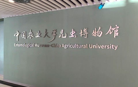 中国农业大学专业