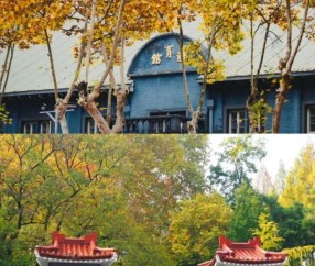 南京师范大学官网