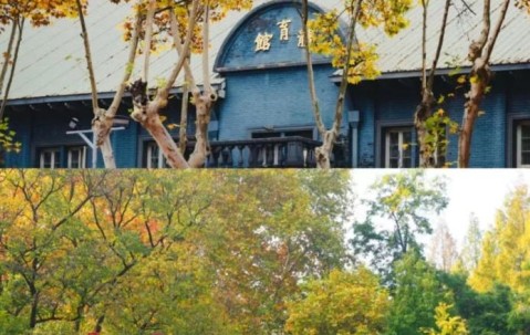 南京师范大学官网