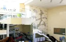 中国政法大学读出来干嘛