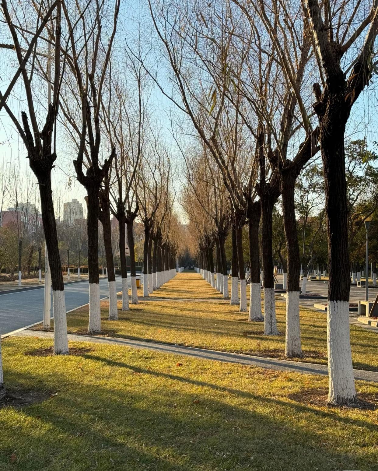 郑州大学(郑州大学第一附属医院)