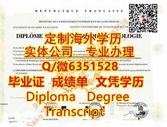 新疆大学文凭(新疆大学本科毕业要求)