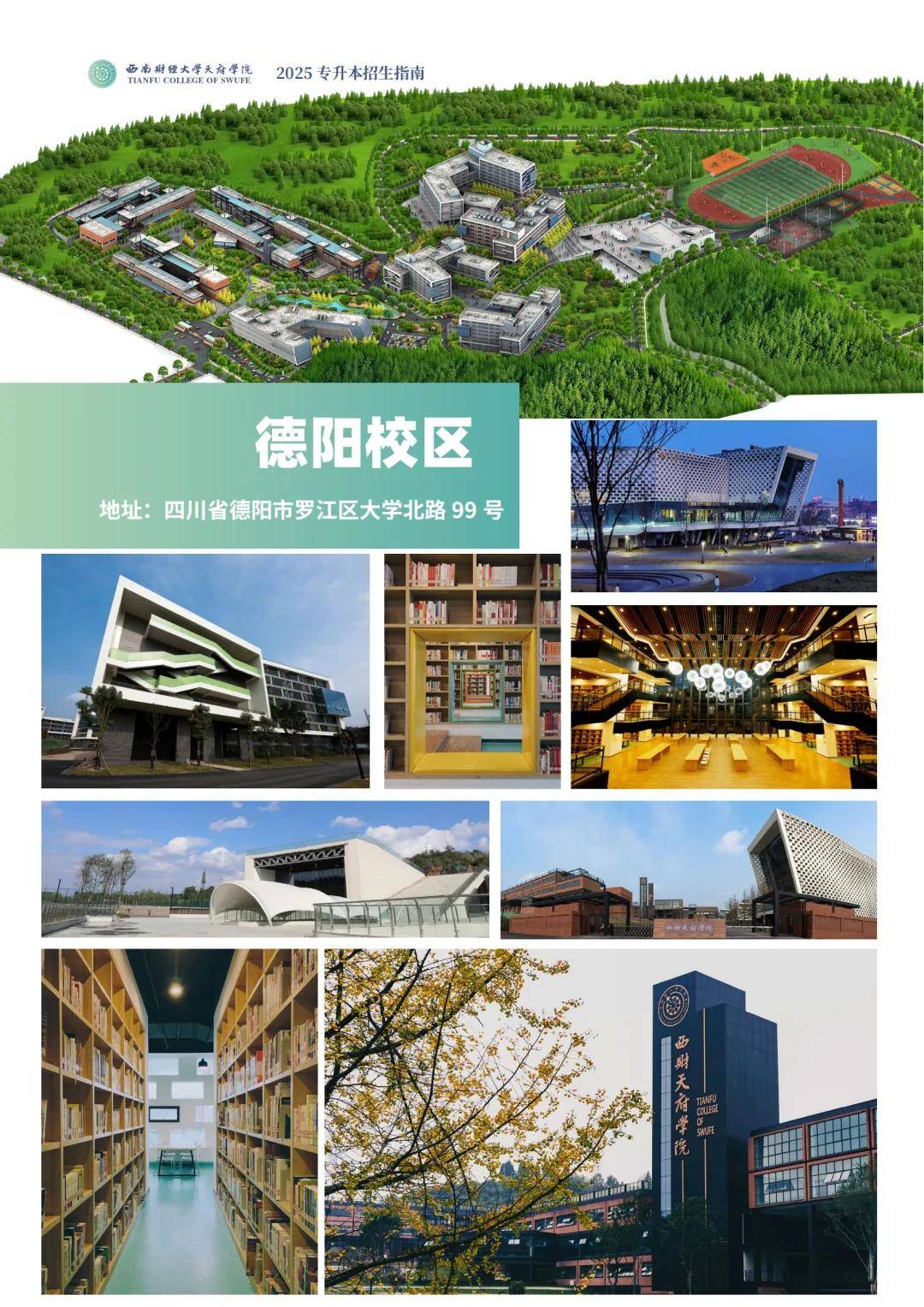 西南财经大学在哪个城市