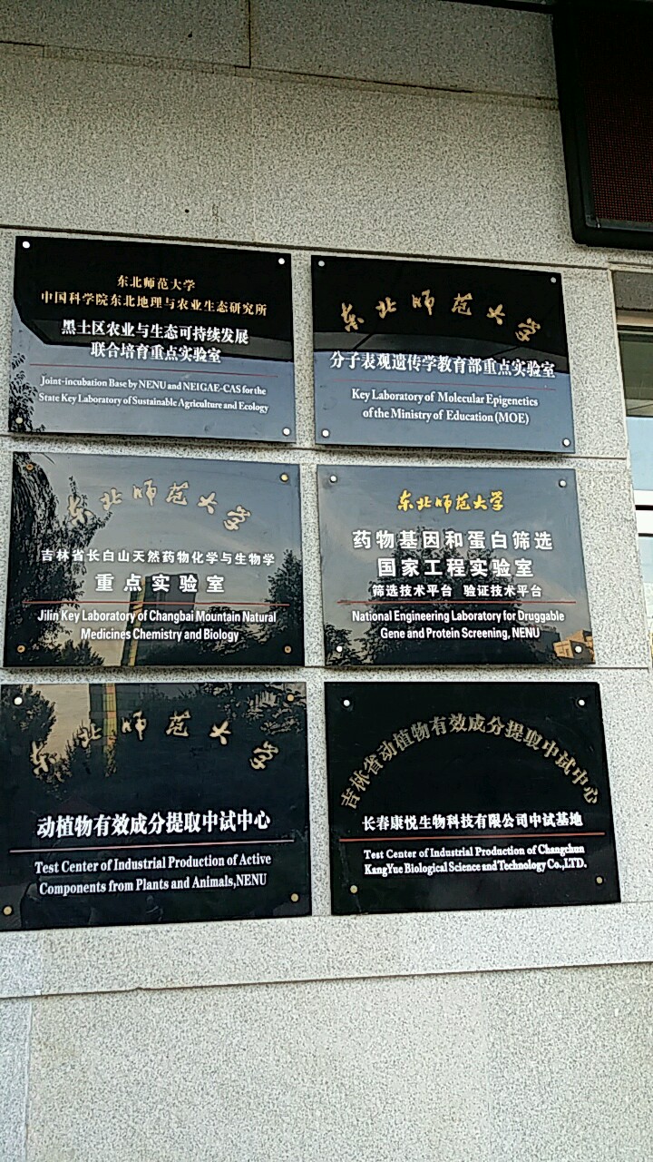东北师范大学毕业证查询