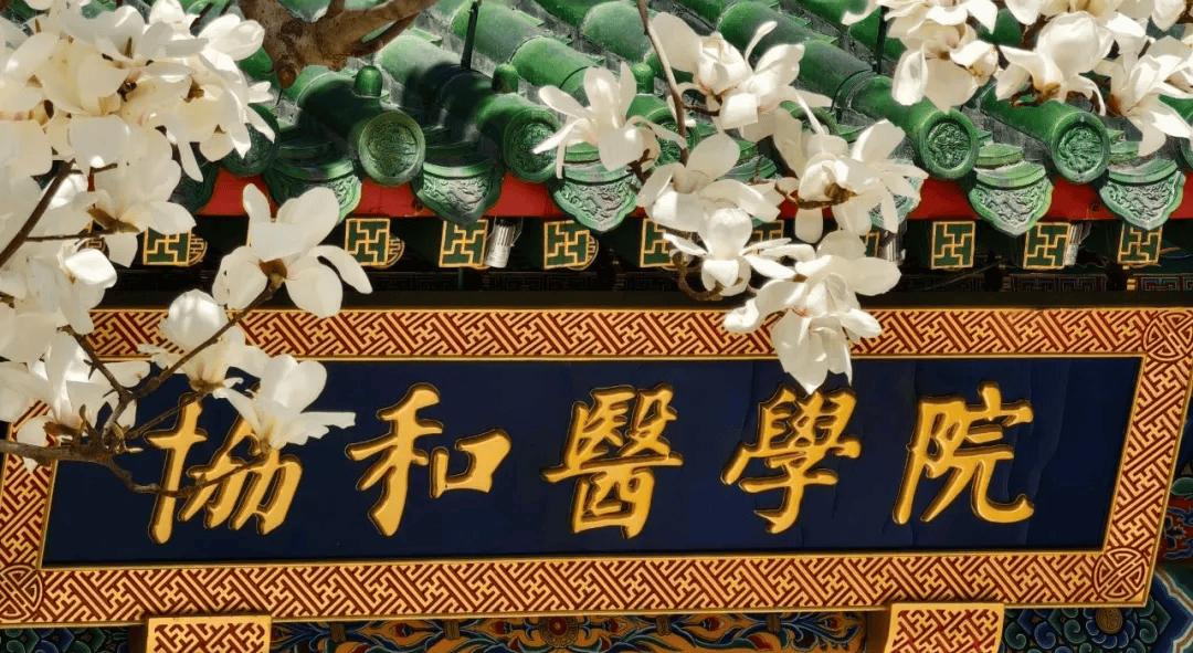 北京协和医学院文凭怎么样
