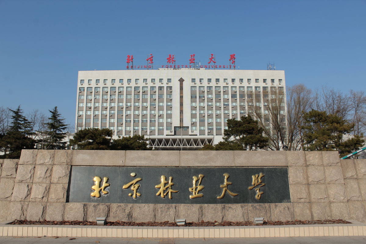 北京林业大学毕业证查询系统