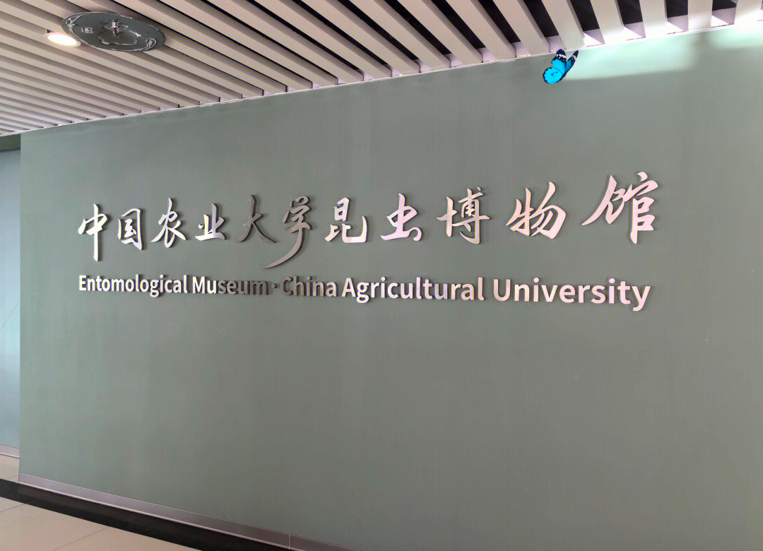 中国农业大学专业