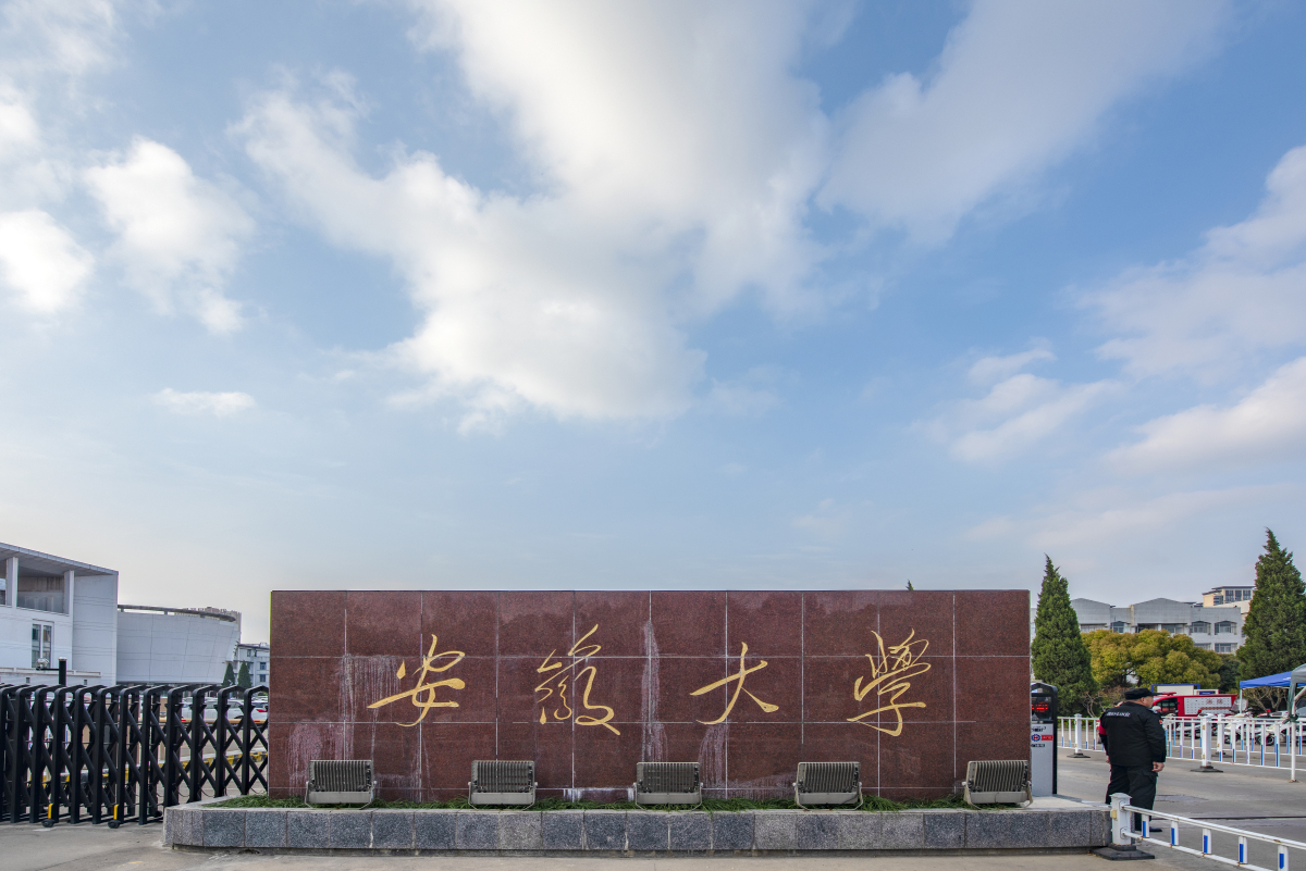 安徽大学2024年录取分数线