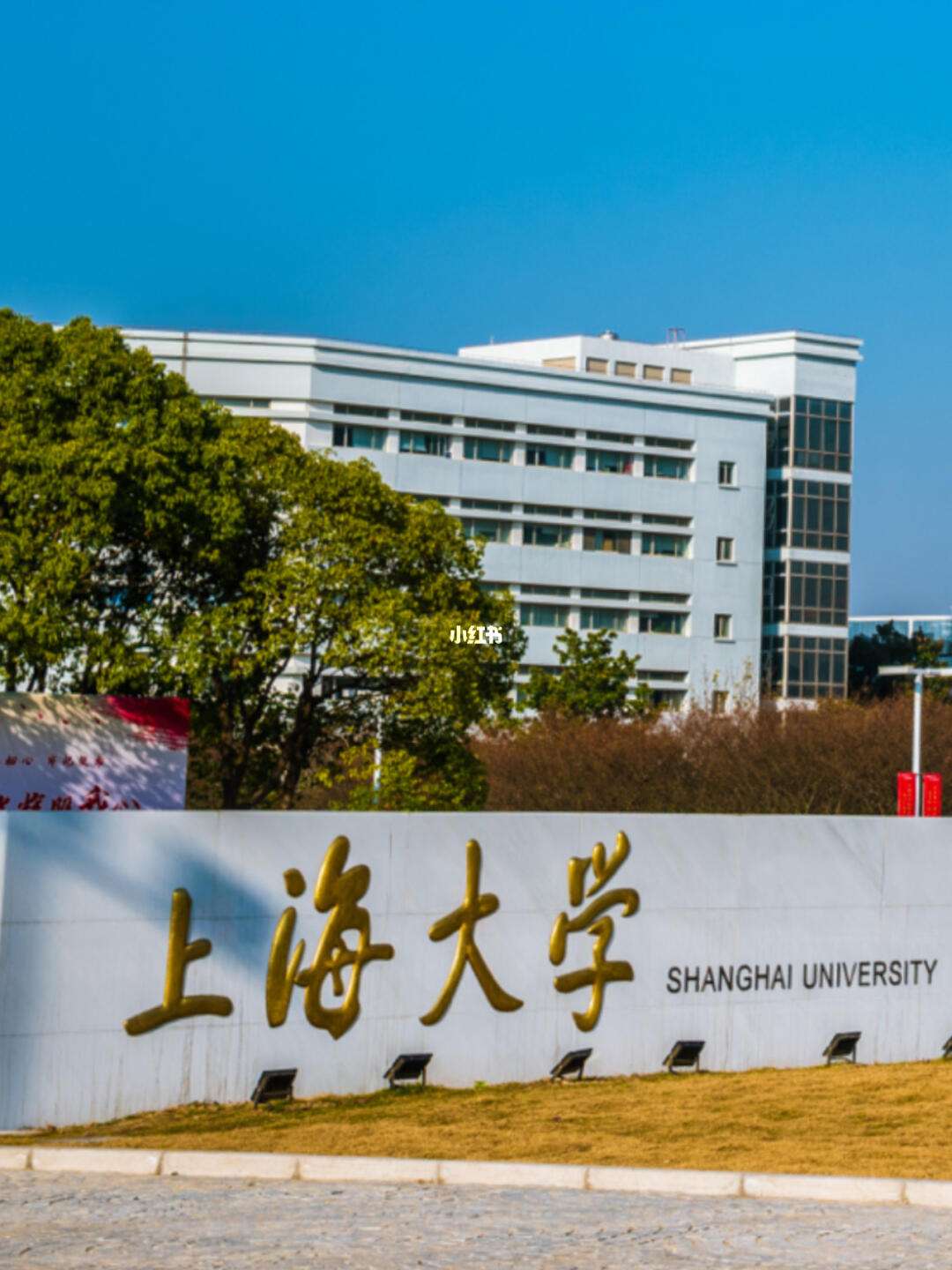 上海大学有哪些学校