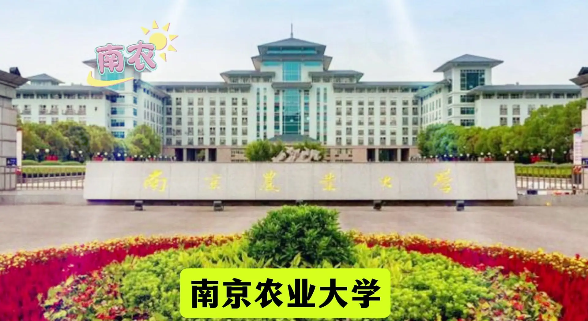 南京农业大学是985还是211