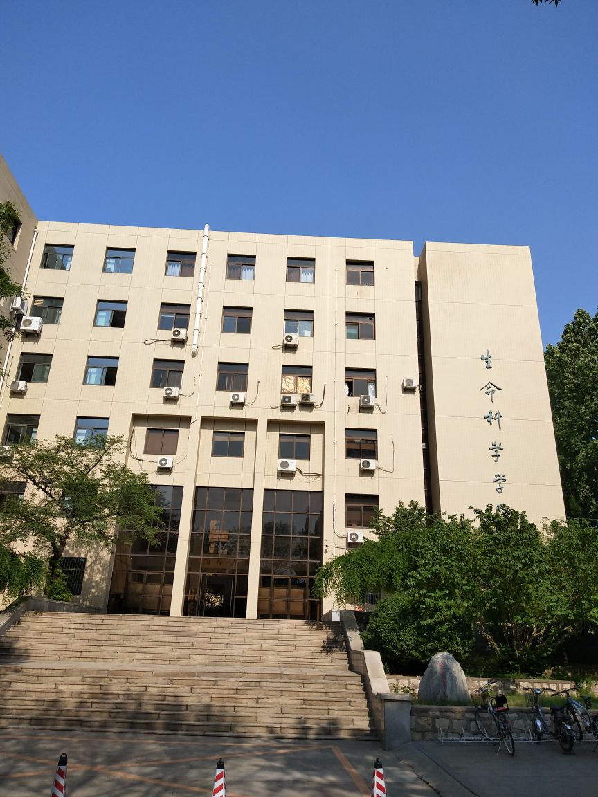 山东大学排名最新排名表