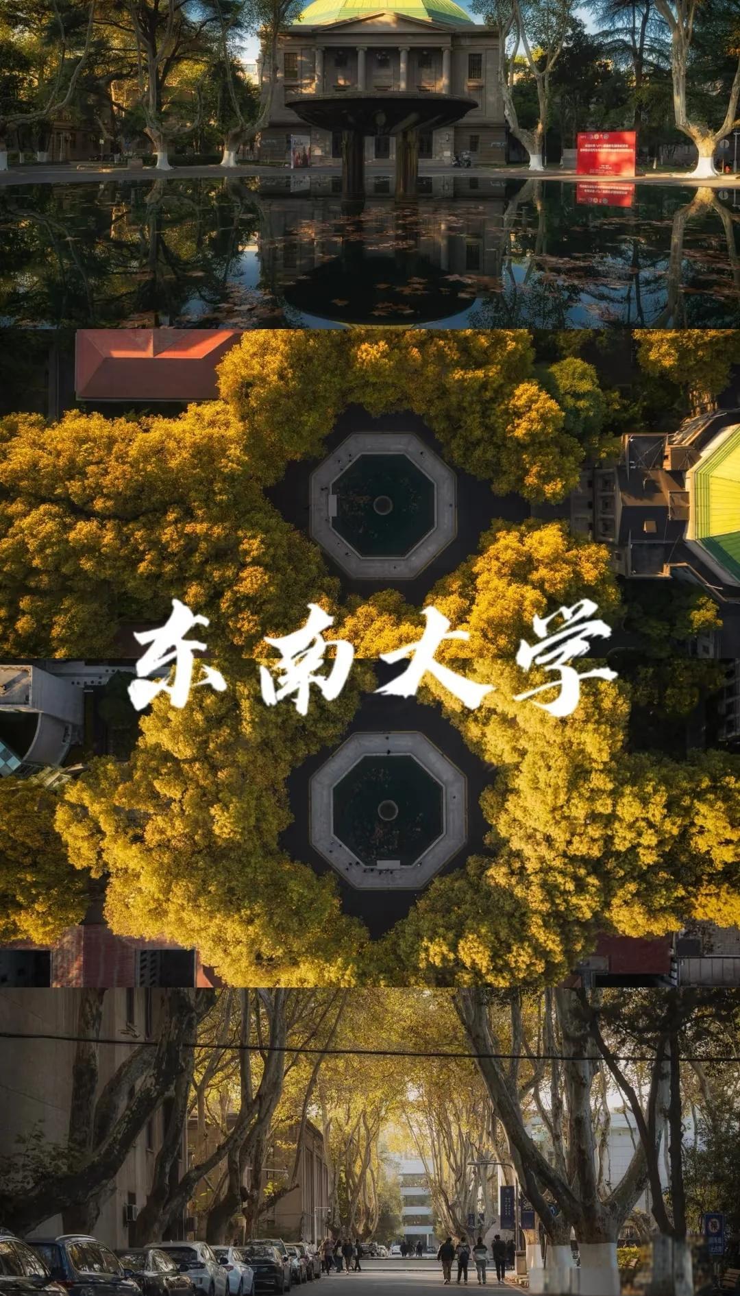 东南大学官网