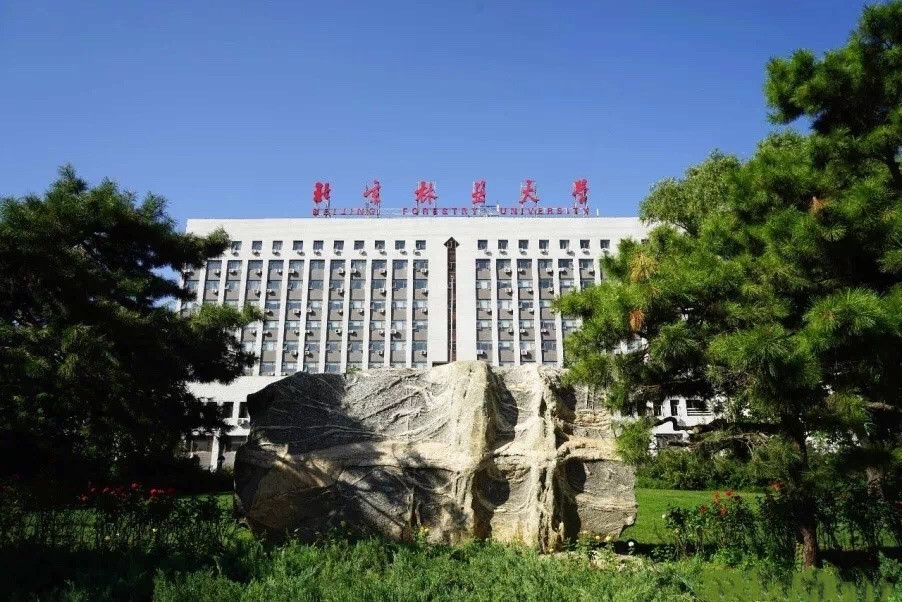 北京林业大学招生章程