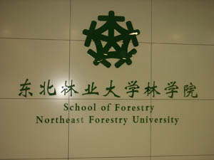 东北林业大学毕业证补办