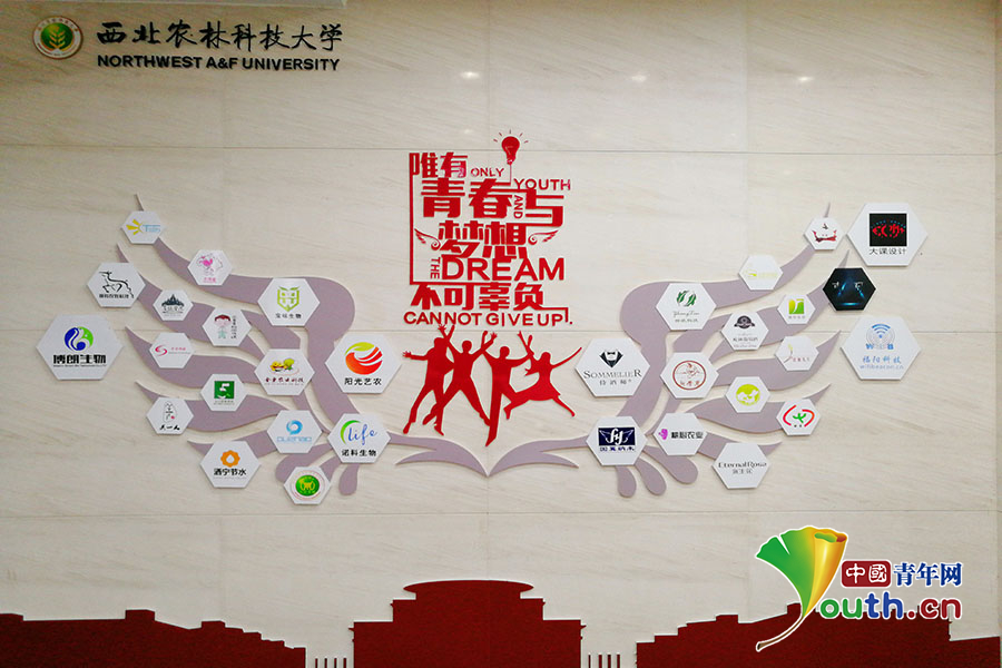 西北农业大学毕业证