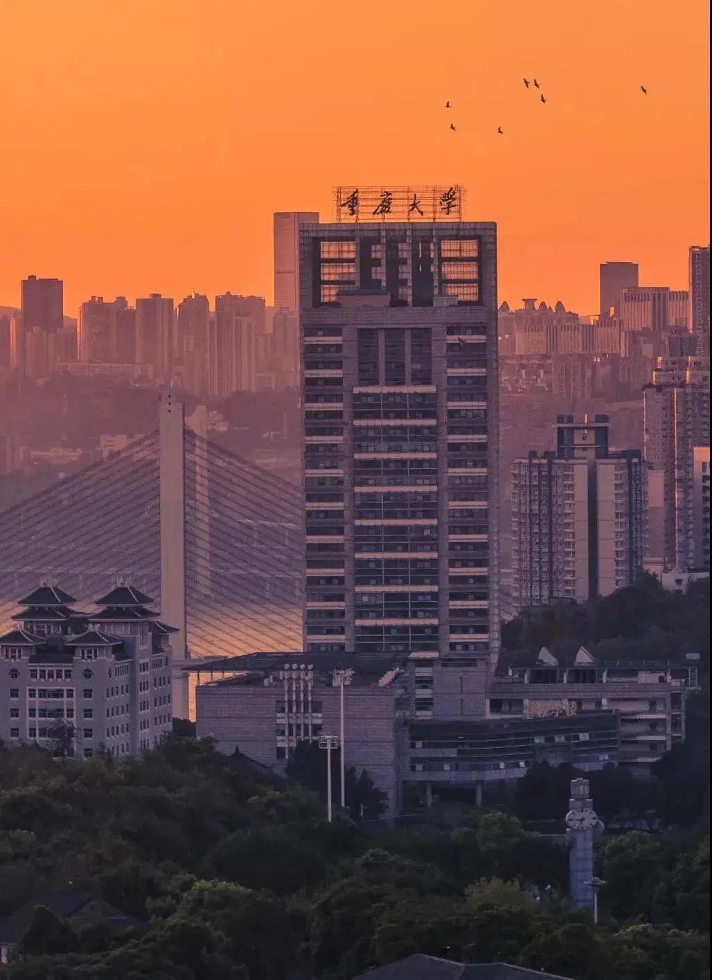 重庆大学是985还是211